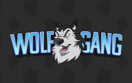 The WolfGang is a collection of 10,000 randomly generated (anthromorphic)Wolf NFT' on the Ethereum Blockchain.

										Your best friend, your friend to lean on, your companion. Welcome to WolfPups! <br><br>

										The Wolfgang: https://opensea.io/collection/thewolfgang <br>

										Luna Wolves: https://opensea.io/collection/lunawolves  <br>

										Wolfgang Pups: https://opensea.io/collection/the-wolfgang-pups <br>